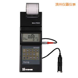 濱州時(shí)代便攜式測振儀