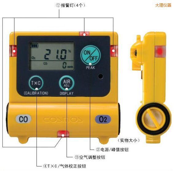 大理復合型氣體檢測器
