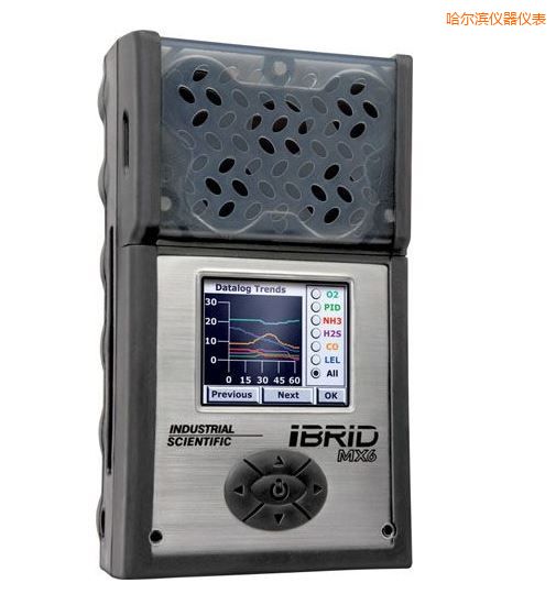 哈爾濱復(fù)合式6氣體檢測儀