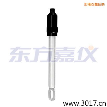 膠南無(wú)溫補(bǔ)兩線電導(dǎo)率電極