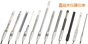 嘉峪關電導電極