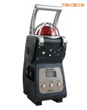 濟(jì)南復(fù)合式氣體檢測儀