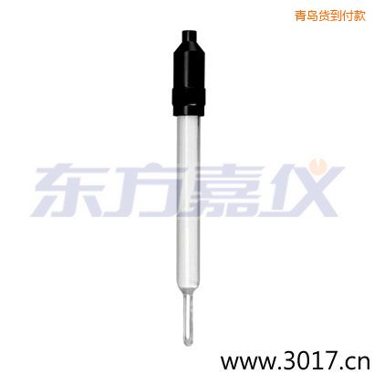 青島玻璃外殼無溫補兩線電導(dǎo)率電極