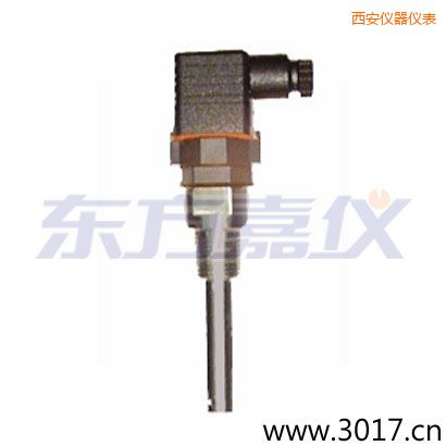 西安含有溫度的兩線電導(dǎo)率電極